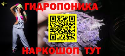 apvp Нальчик