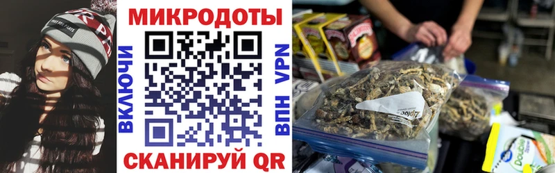 MEGA tor  Нововоронеж  Псилоцибиновые грибы мицелий  закладки 