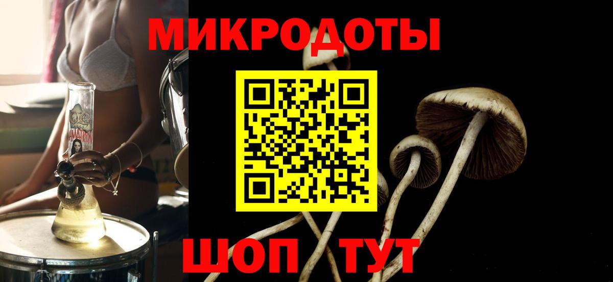 Нововоронеж  Псилоцибиновые грибы Magic Shrooms  Вход с VPN 