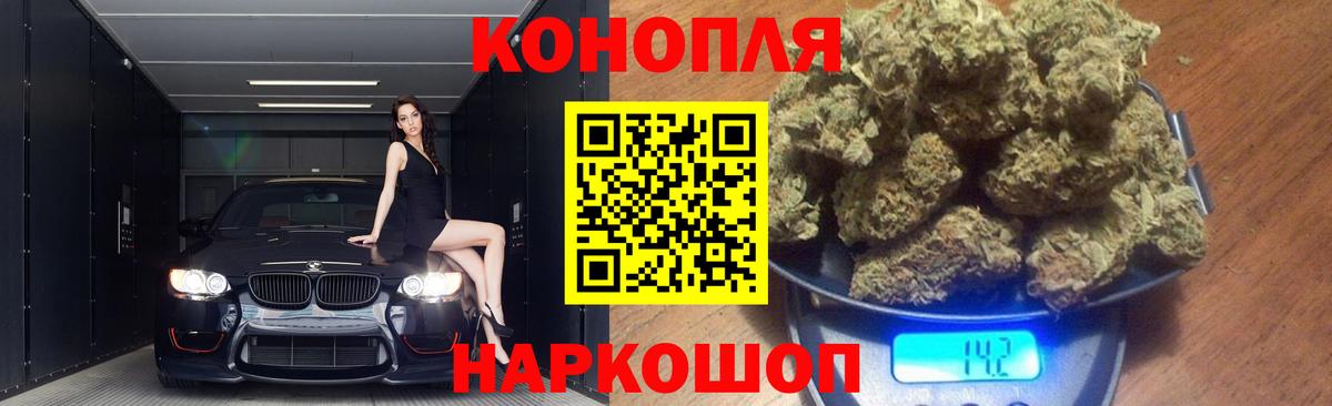 Бошки марихуана сатива Нововоронеж